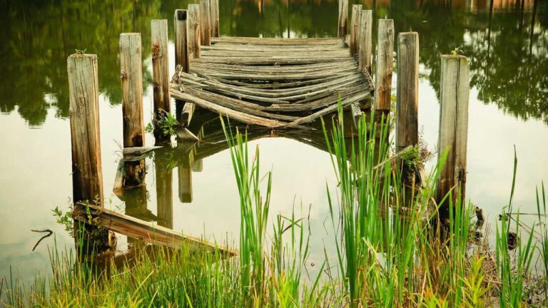 What Is The Benefit Of Creating A 99Exch Pro Id?